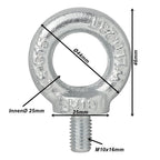 Ringschraube M8/M10/M12